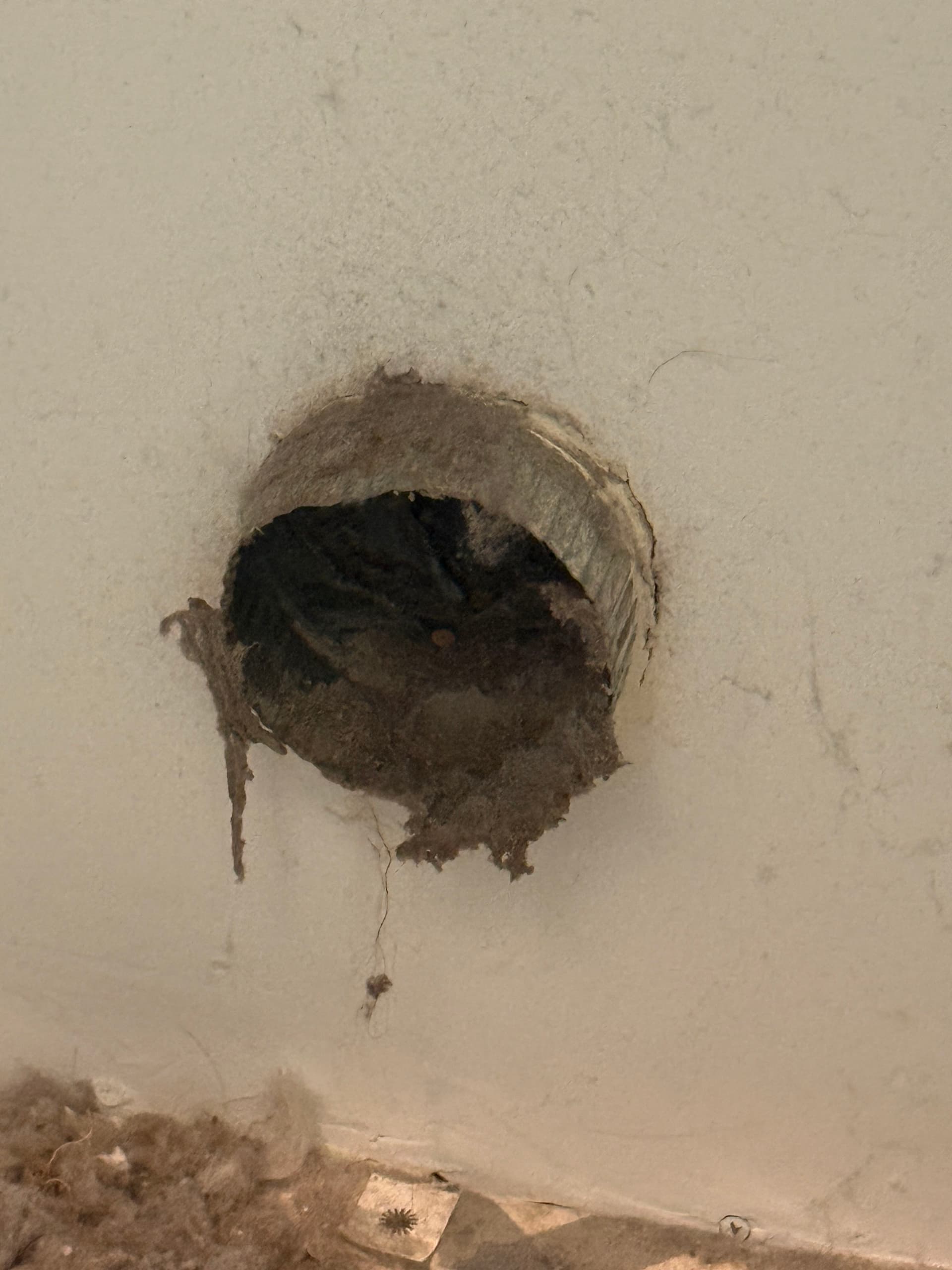 Restoring Dryer Efficiency with Expert Vent Cleaning