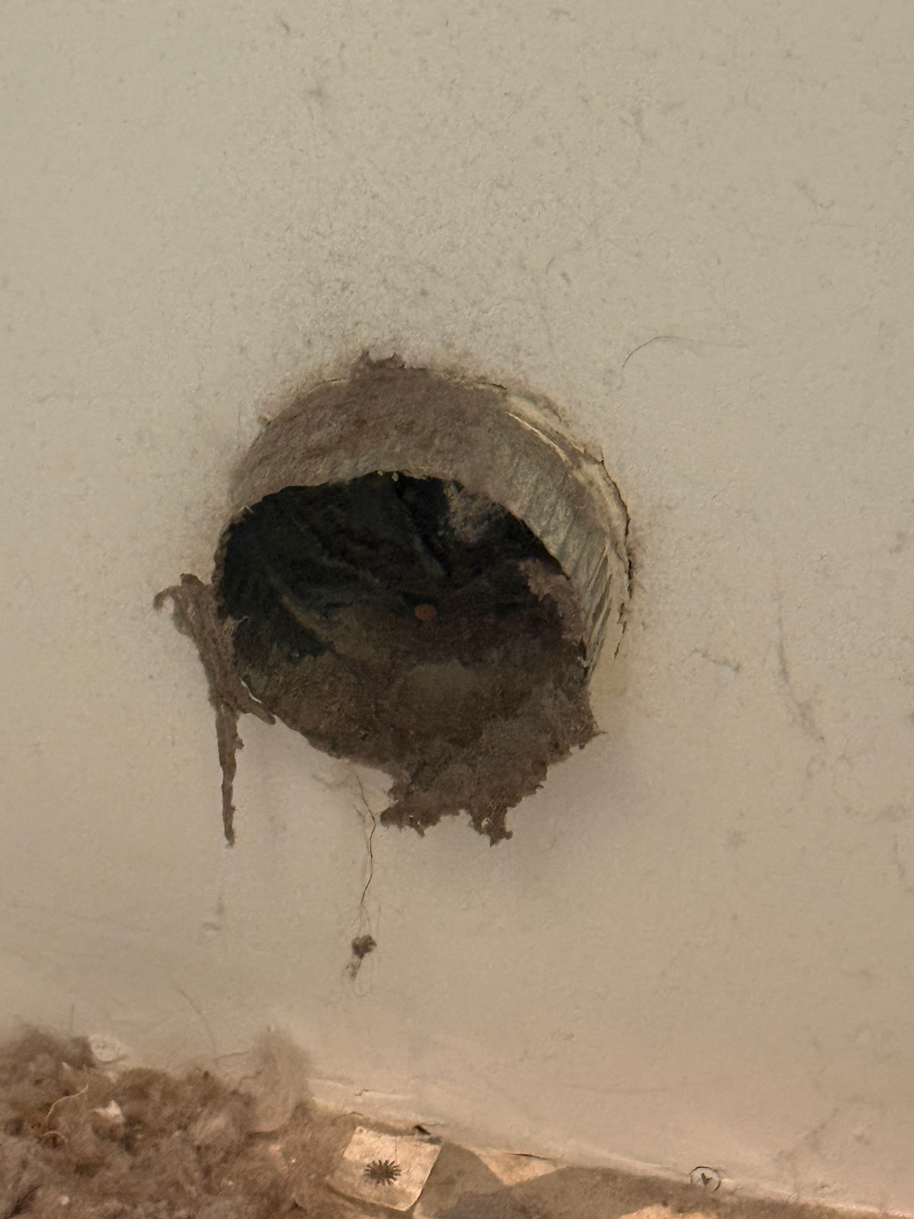 Project Restoring Dryer Efficiency with Expert Vent Cleaning image