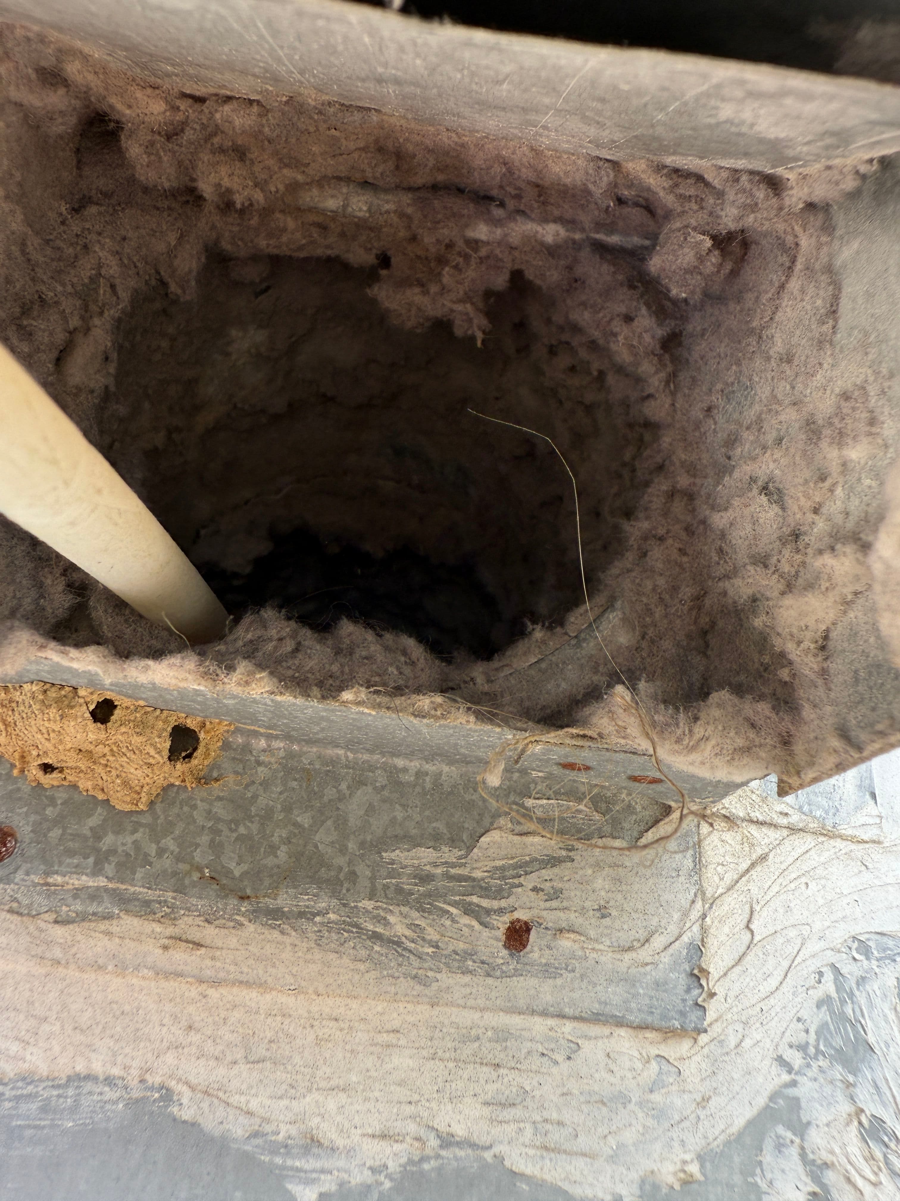 Project Dryer Vent Rescue in Action image