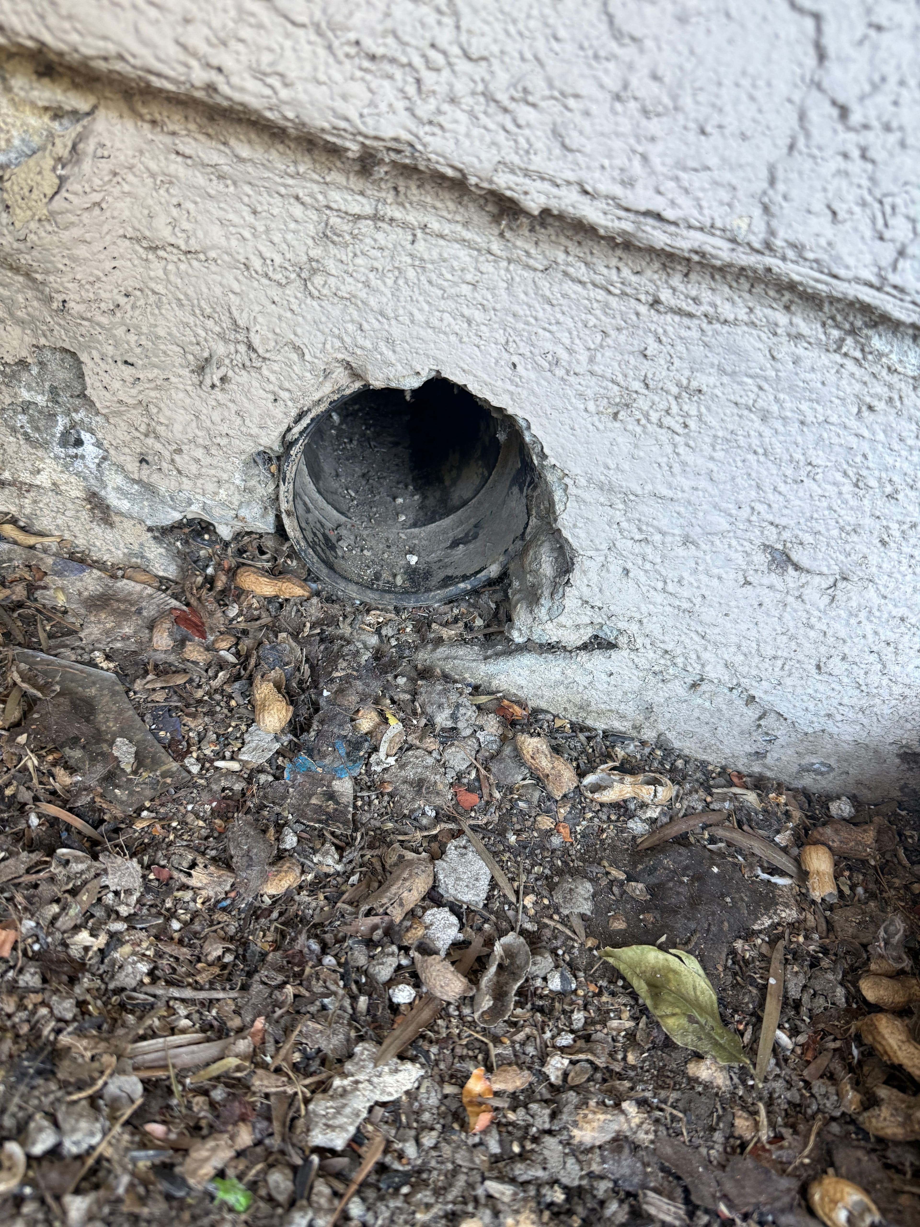Project Solving a Dryer Vent Blockage image